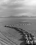 "Nevada" Courtesy of Spencer Tunick